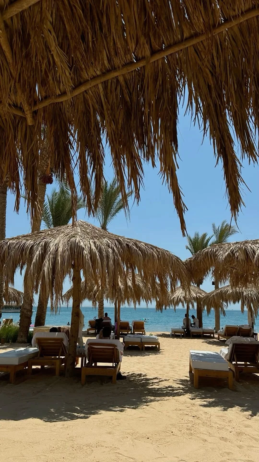 اقل سعر ف العين السخنة امتلك شالية في اميجو 1